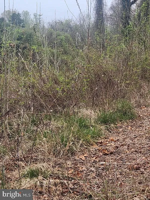 42209 Ridge Rd photo 1
