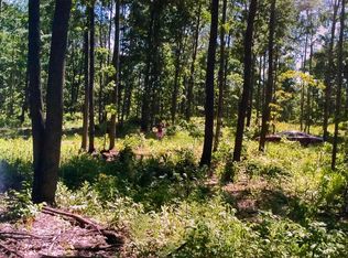 0 Robinson Rdg, Bellaire, MI 49615