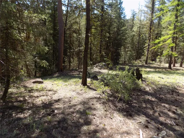 111 TBD Mule Deer Road, Tonasket, WA 98855