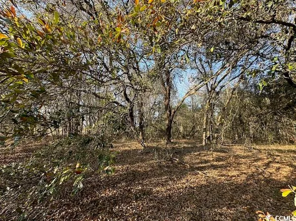 TBD Lot 2 McNabb Short Cut Rd., Loris, SC 29569