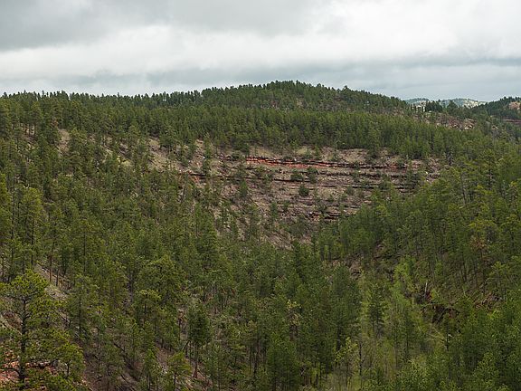 3rd image of Tbd Hwy #16