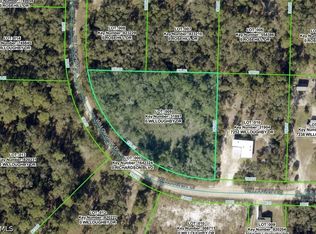 7292 Willoughby Dr, Webster, FL 33597