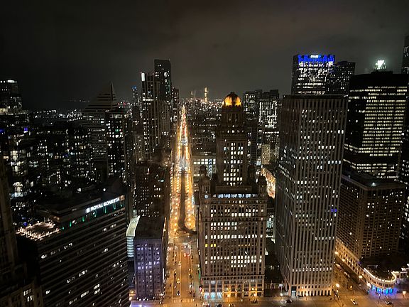 5th image of 401 N Wabash Ave #39-L