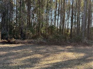 0 Settlers Bluff Rd, Folkston, GA 31537