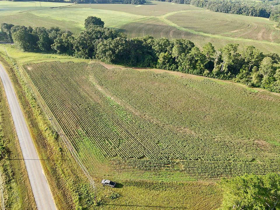 Dji Fly 20260908 081144 380 1788873158142 Photo