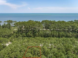 151 Royal Tern Way, Carrabelle, FL 32322
