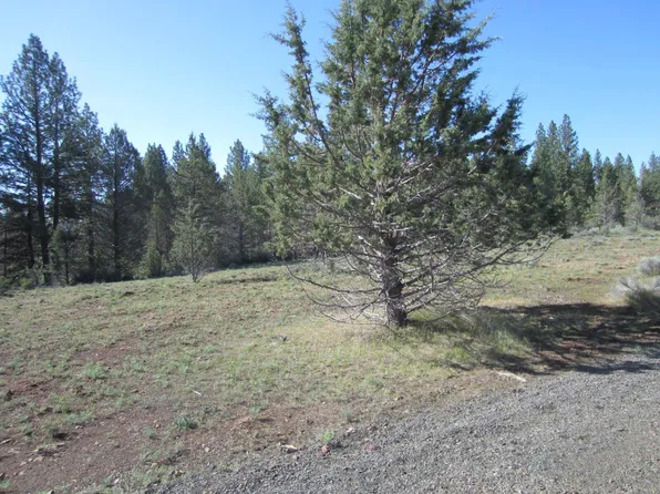 0 Kotya Ln Lot 26, Bly, OR 97622