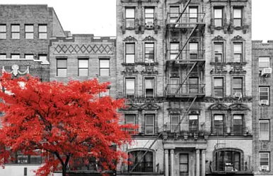 Rented by Living New York