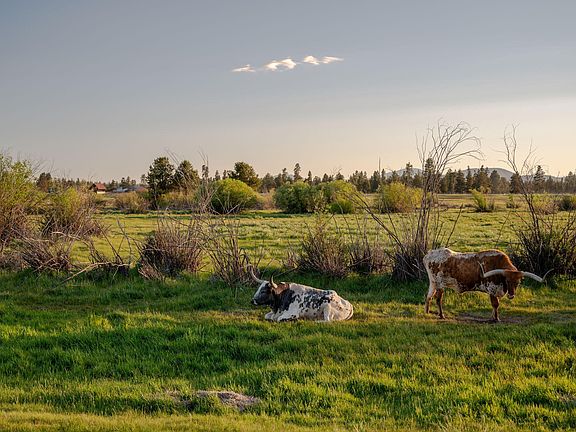 66th image of this home