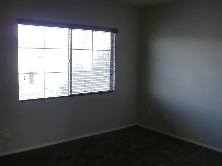 10611 Timber Stand St — Photo 11