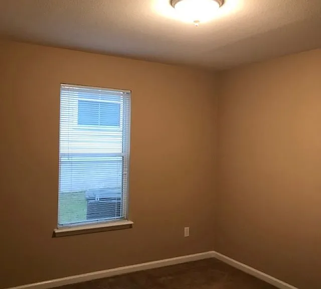 2810 Dumont Dr — Photo 13