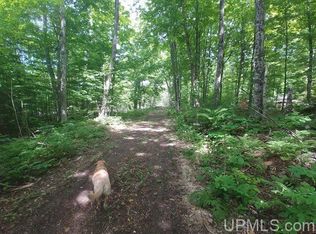 40 Acres Co Rd #467, Germfask, MI 49836