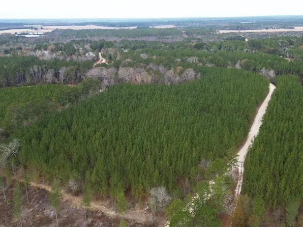 Kestrel Dr, Leesville, SC 29070