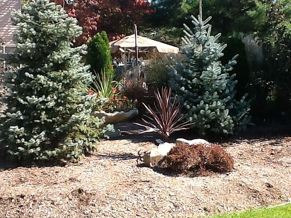 3rd image of 5305 Breeze Wood Dr