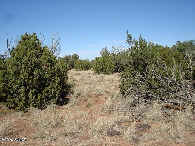 1st image of 9073 Cibola Dr