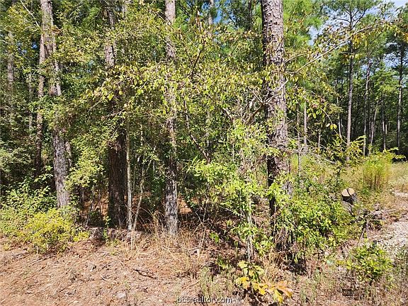 3rd image of LOT 19 Hawthorne Ln