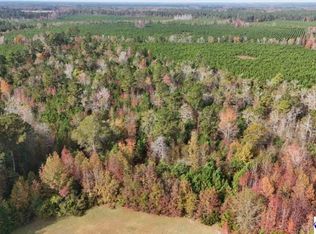 Cummings Rd, Manning, SC 29102