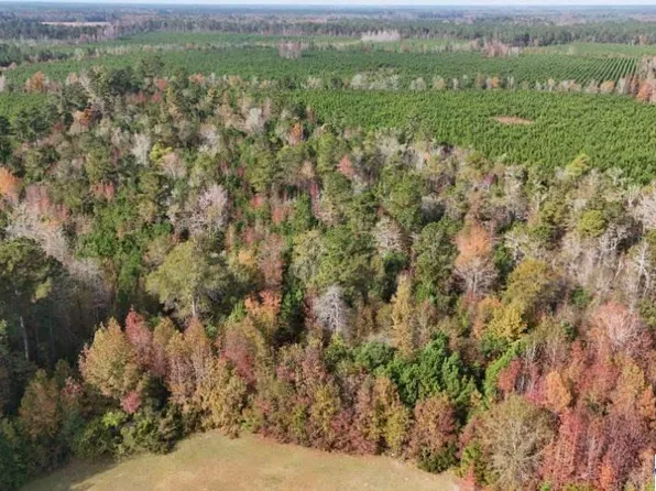 Cummings Rd, Manning, SC 29102