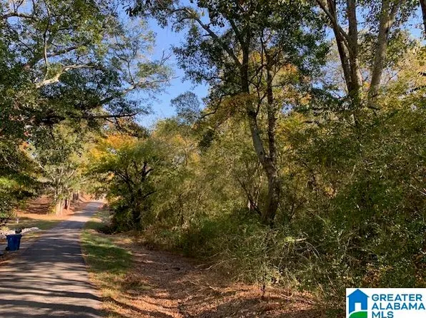 Braswell St #3, Altoona, AL 35952