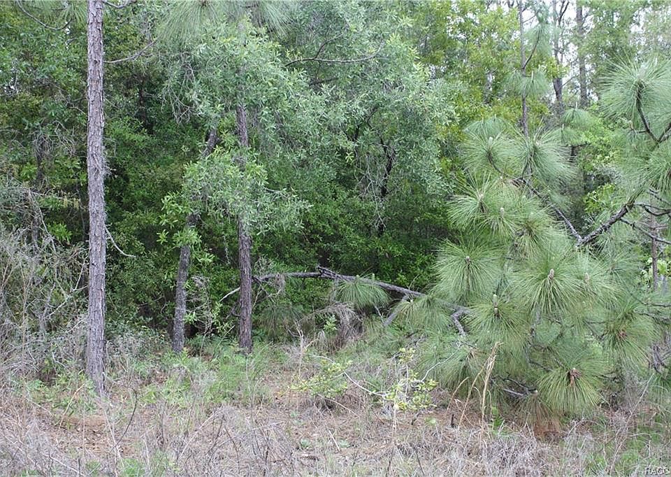 2nd image of 8060 N Sarazen Dr
