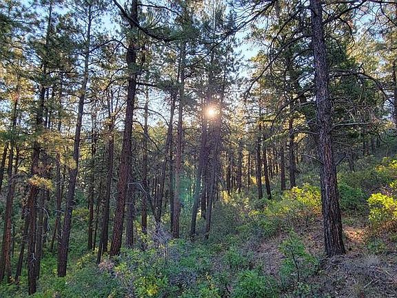 2nd image of Lot 5 Beaver Creek Ranch Dr