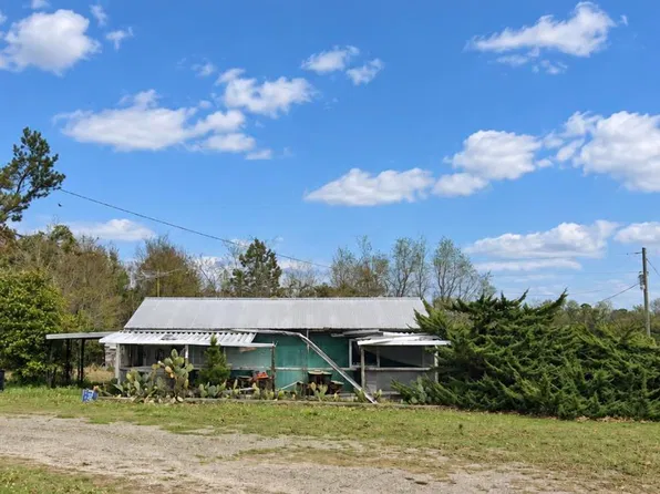 123 Snake Swamp Rd, Cope, SC 29038