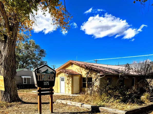 1175 Grand Ave #1, Norwood, CO 81423