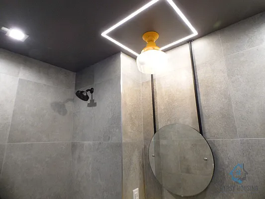 Rented by Gypsy Housing LLC | media 132