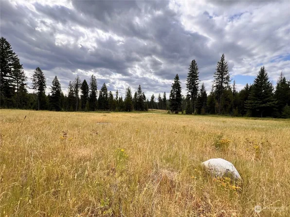 0 TBD Old Swan Lake Road, Republic, WA 99166