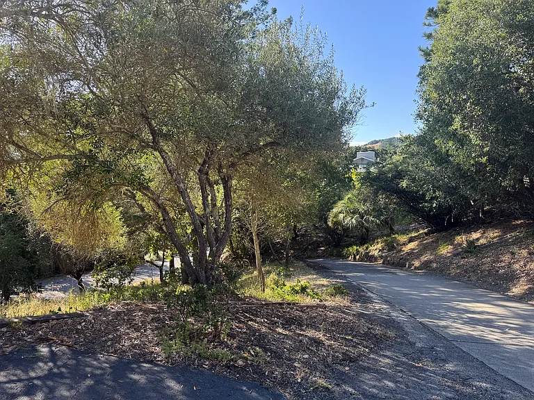 Fawn Ct — Photo 18