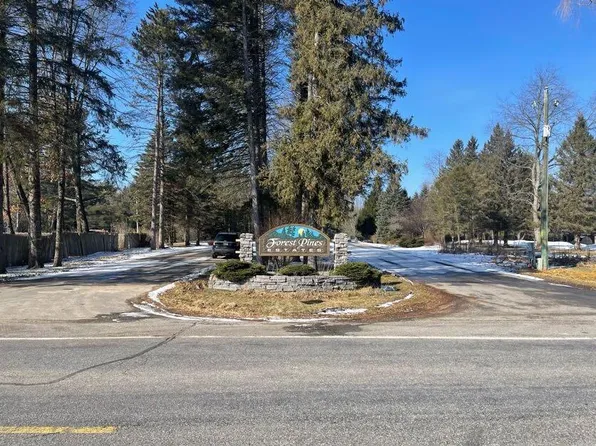 9086 Forest Pines Dr, Mecosta, MI 49332