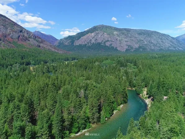 54 Mazama Pines Lane, Mazama, WA 98833
