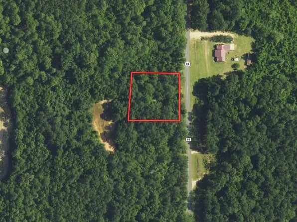 Vacant County Hwy #85, Evergreen, AL 36401