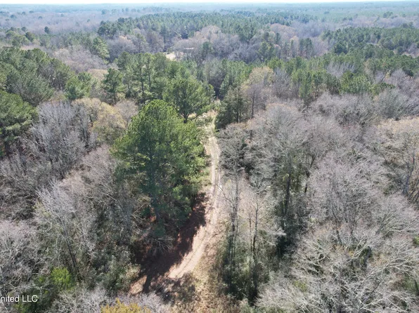 2069 Highway 17, Camden, MS 39045