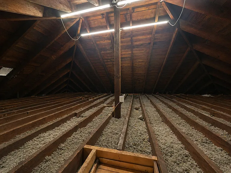 Attic Storage