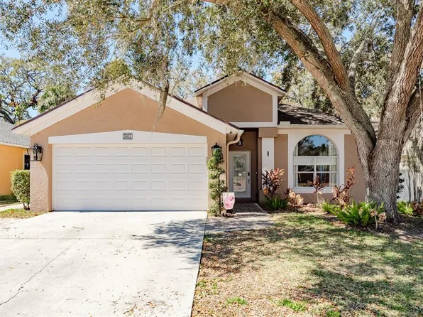 5801 Erhardt Dr, Riverview, FL 33578