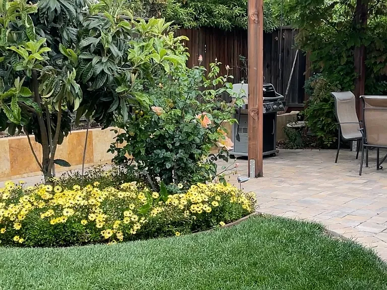 1017 Olmo Ct — Photo 14