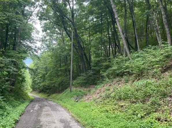 Wolfe Rd, Bean Station, TN 37708