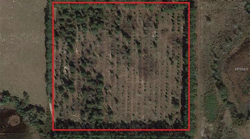 2nd image of Spikeys Ln