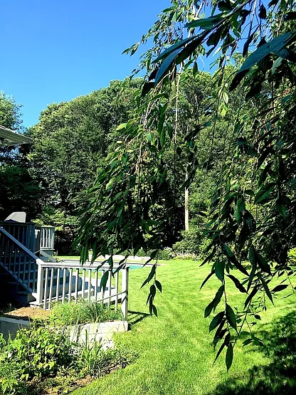 360 Seven Ponds Towd Rd — Photo 31