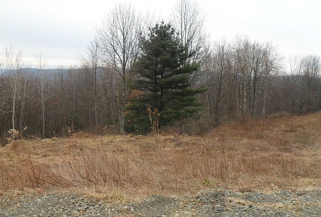 2nd image of 232 Valley View Dr