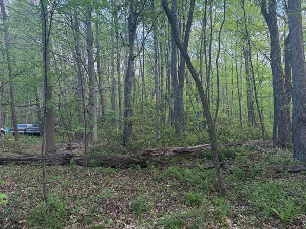 LOT 138 Ingot Rd, Claysburg, PA 16625