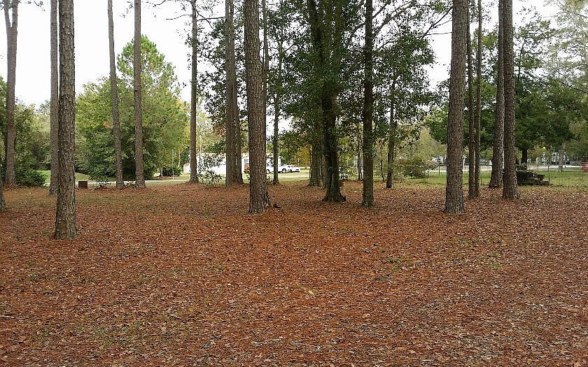 2nd image of 75402 Johnson Lake Rd