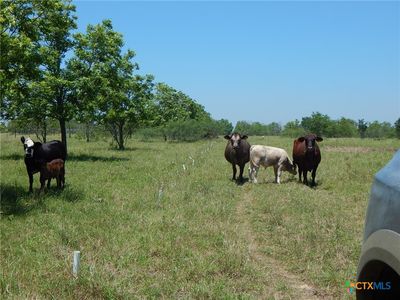 20441 Fm 2268, Holland, TX, 76534
