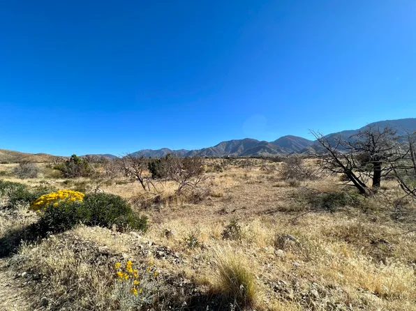 Tumbleweed Road Vic Piani, Juniper Hills, CA 93543