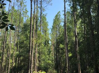 4424 NW 13th St STE C2, Gainesville, FL 32609