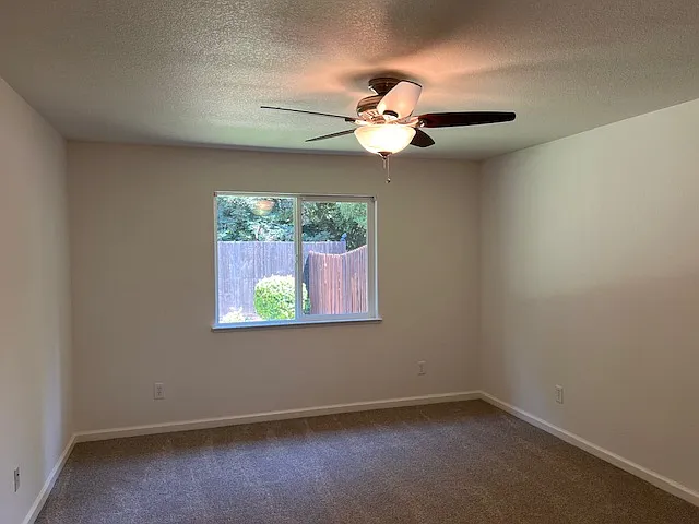 1371 Cassel Ln — Photo 11