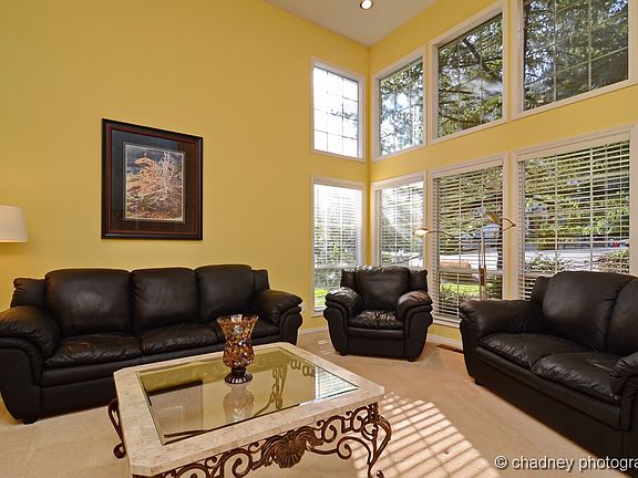 Vaulted Ceiling Living Room