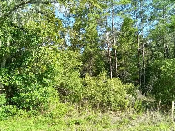 Oaks Pass Loop Lot 6, Ocala, FL 34472