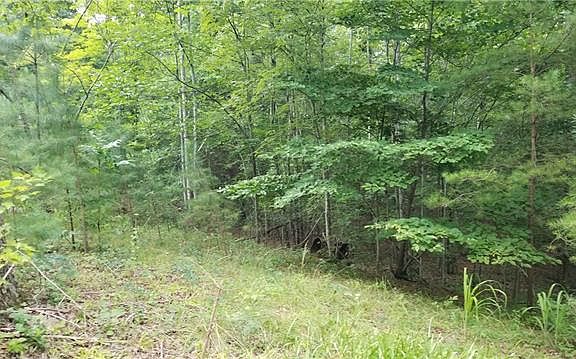 5th image of 7026 Deer Creek Dr